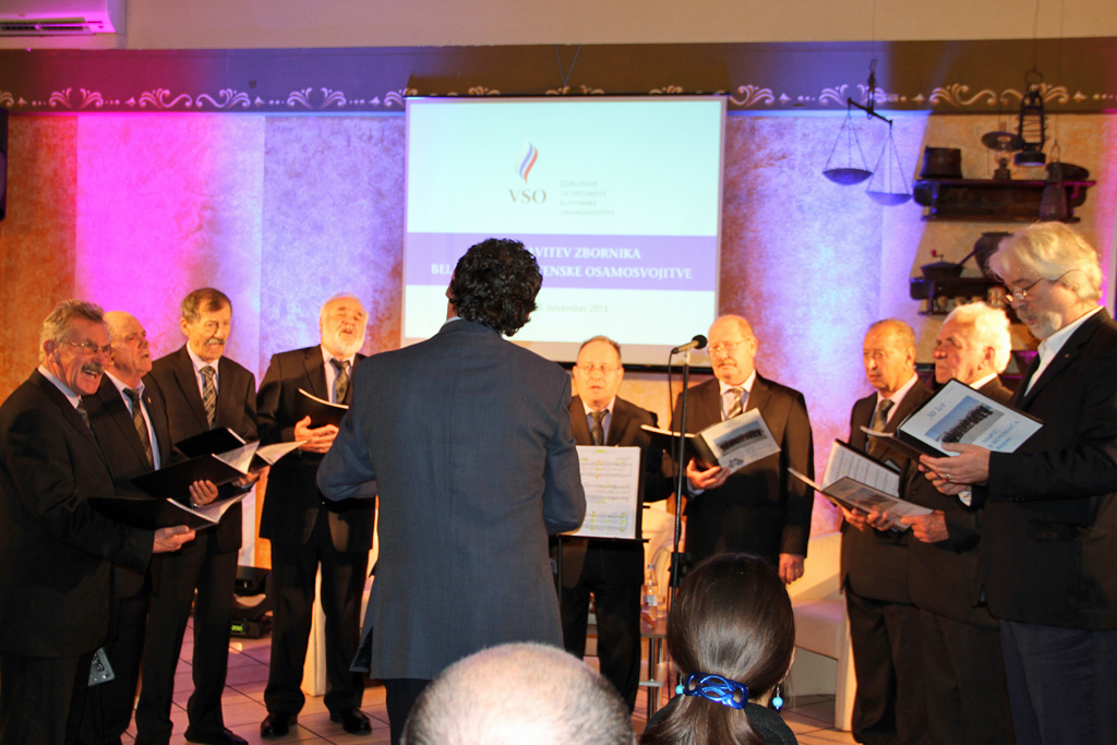 vso.si 2013 11 11 bela knjiga koper 10